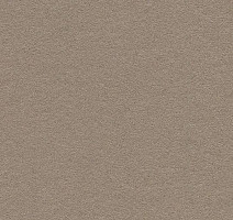 Линолеум Forbo Bulletin Board 2208 mushroom medley фото 1 | FLOORDEALER